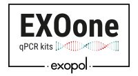 logo_exoone_page-0001